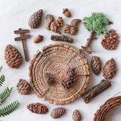 pine cones and other decorations are arranged on a white surface with greenery around them