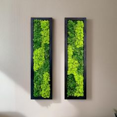 two framed pictures with green plants on them in the corner of a living room wall