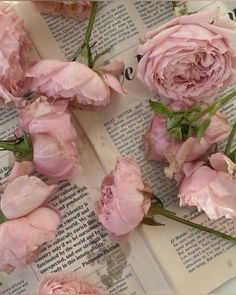 pink flowers on top of an open book