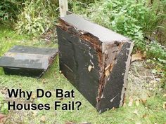 an old wooden box sitting in the grass next to a black object with words that read, why do bat houses fail?