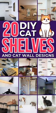 the cover of 20 diy cat shelves and cat wall designs, with pictures of cats