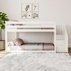 a white bunk bed sitting on top of a wooden floor next to a potted plant