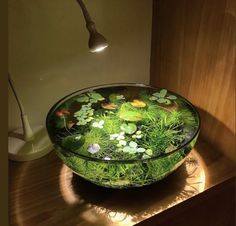 a glass bowl filled with water and plants on top of a wooden table next to a lamp