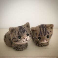 two small stuffed cats sitting on top of a white table next to eachother