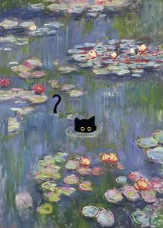 a black cat is floating in the water with lily pads