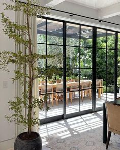 a dining room table with chairs and a potted plant in front of the sliding glass doors