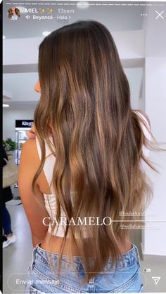 Light Brown Hair Ombre Caramel, Partial Highlight Balayage, Beachy Brown Blonde Hair, Light Brown Balayage Long Hair, Copper Hair With Caramel Highlights, Summer Hair Inspo Brunette, Hilights On Brunette Hair, Honey Brunette Hair Balayage, Natural Balayage For Brown Hair