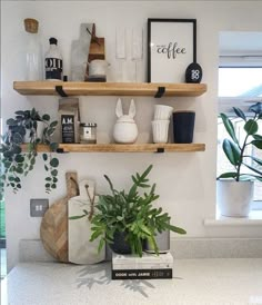 two wooden shelves filled with plants and other items on top of a white countertop