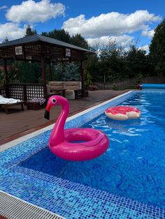 an inflatable pink flamingo floating on the side of a swimming pool