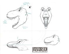 some drawings of different types of dinosaurs