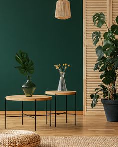 two tables with plants on them in front of a green wall