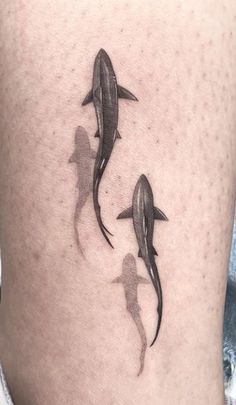 three dolphins swimming together on the thigh