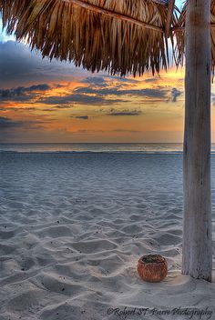 the sun is setting over the beach and palm trees