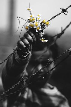 black and white photograph of person holding flowers behind barbed wire