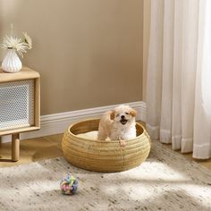 a small dog sitting in a basket on the floor