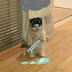 a cat is standing in the rain with an umbrella and it's head covered by clouds