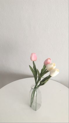 three pink and white tulips in a glass vase