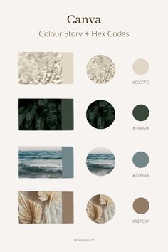 the color scheme for canva is shown here