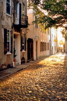 an empty cobblestone street lined with buildings and trees in the sun shining down on it