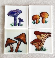 four different types of mushrooms on white ceramic tiles with green grass and blue sky in the background