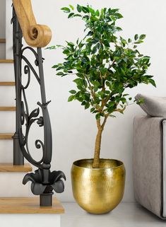 a potted plant sitting next to a stair case