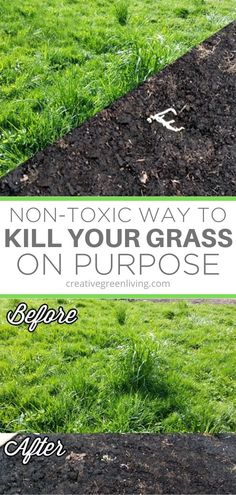 grass that is being planted in the ground with text overlay reading non - toxic way to kill your grass on purpose