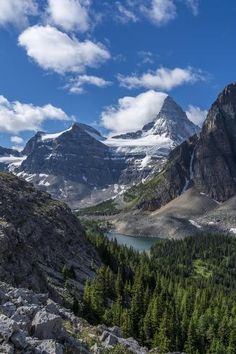 the mountains are covered in snow and trees