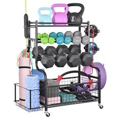 a gym equipment rack with dumbs, kettles and exercise balls on it's wheels