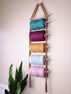 a wall hanging with several spools of thread and a potted plant in the corner