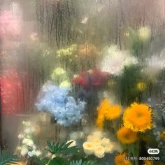 a bunch of flowers that are sitting in front of a glass window on a rainy day