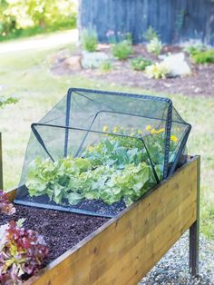 a raised garden bed with plants growing in it and an insect house on top that is attached to the planter box