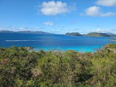 an island with blue water surrounded by trees and bushes on the side of the road