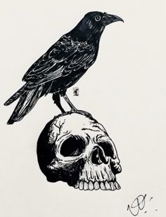 a black bird sitting on top of a human skull