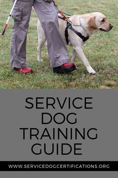 the service dog training guide is available for all types of dogs