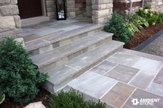 the steps are made of stone and have plants growing on each side, along with shrubs