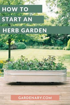 a raised garden bed with herbs growing in it and the words how to start an herb garden