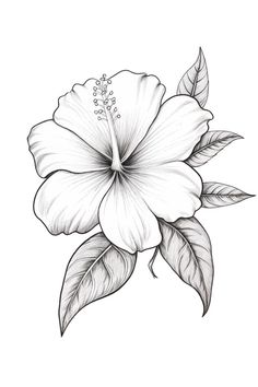 a drawing of a flower with leaves