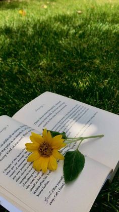 a sunflower sitting on top of an open book in the middle of some grass