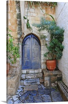 an old building with a blue door and potted plants