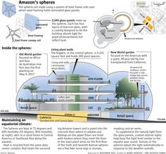 an info sheet describing how the amazon spheres are located