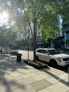 a white car parked on the side of a road next to a tree