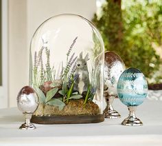 three glass vases with plants in them sitting on a white tablecloth covered table