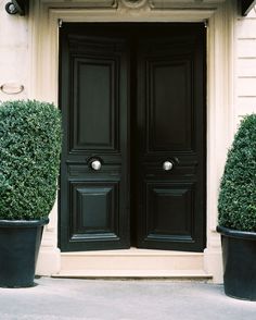 two potted plants are in front of a black door