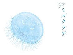 a drawing of a jellyfish with japanese writing on it's back side and the bottom half of its head