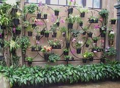 a wall with many potted plants on it