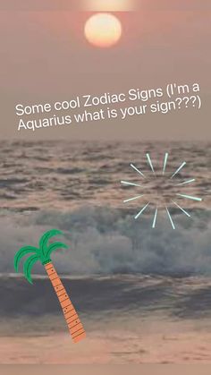 a palm tree sitting on top of a beach next to the ocean with text that reads, some cool zodiac signs i'm a aquarius what is your sign??