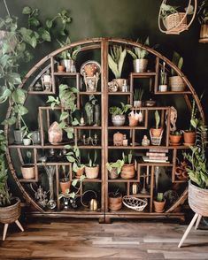 a room filled with lots of plants and potted plants on wooden shelves next to each other