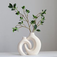 two white vases with green plants in them