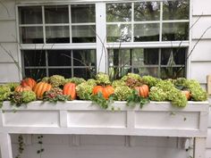 a window sill filled with lots of plants and pumpkins on top of it