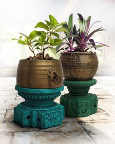 two potted plants sitting on top of each other